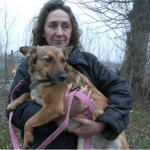 Волонтерка з Волині допомагає прилаштовувати собак з прифронтових територій