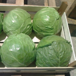 Як правильно зберігати капусту взимку, щоб не втратити врожай