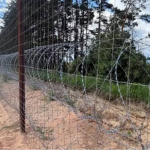 Лічені метри до Білорусі: як живе прикордонне село та чого бояться люди