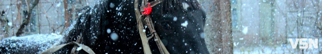 Нарешті сніг: прогноз погоди на Волині на робочий тиждень