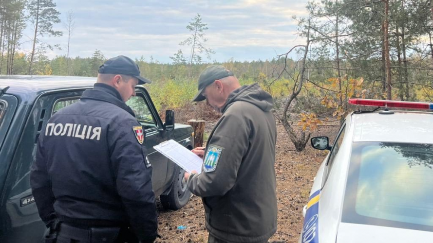 Збитки на понад 5 мільйонів гривень: на Волині виявили масову незаконну вирубку дерев