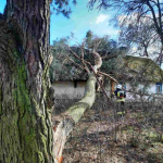 дерево впало на хату у Рівненські області