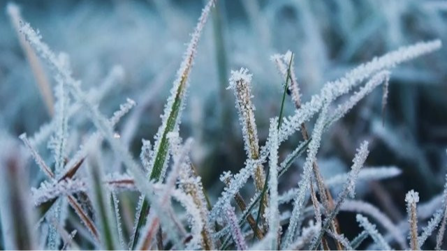 Коли випаде сніг на Волині: прогноз погоди на весь листопад