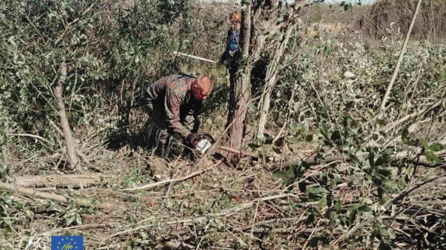 У нацпарку на Волині розчищають болото від чагарників