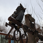 Як живе Луцький зоопарк взимку. Фоторепортаж