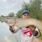 рибалка зловив щуку у вінниці