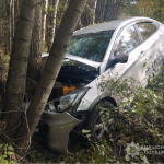 На Волині водій Hundai зʼїхав у кювет та зіткнувся із придорожнім деревом, постраждала пасажирка