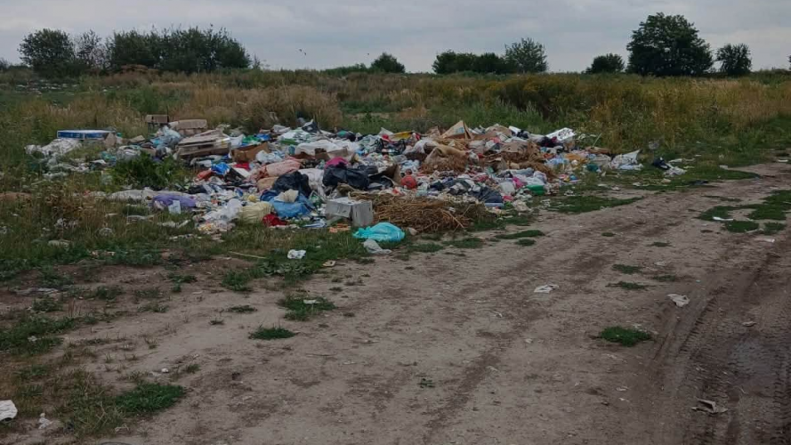 Сміття на тисячах квадратних метрів: у громаді на Волині виявили 15 стихійних звалищ