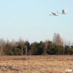 Сонце та нічні морози: якою буде погода на Волині протягом тижня