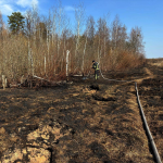 Виявили з повітря та загасили: на Волині рятувальники приборкали пожежу на торфовищі