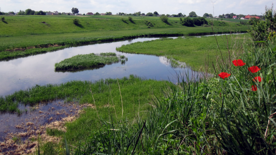 Дві громади на Волині поставили під загрозу гідрологічний заказник