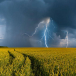 погода в Україні, прогноз погоди