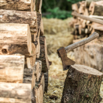 Скільки коштують дрова у січні 2026 року