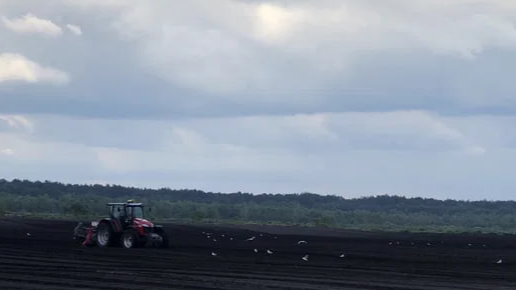 На Волині продають агропідприємство за 600 тисяч доларів