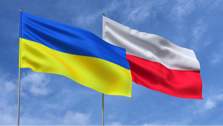 «Українці мало знають про злочини УПА»: сейм Польщі ухвалив постанову з нагоди 81-ої річниці Волинської трагедії