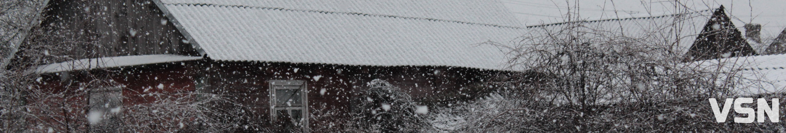 Тунелі у кучугурах та іспити морозом: спогади волинян про справжні поліські зими