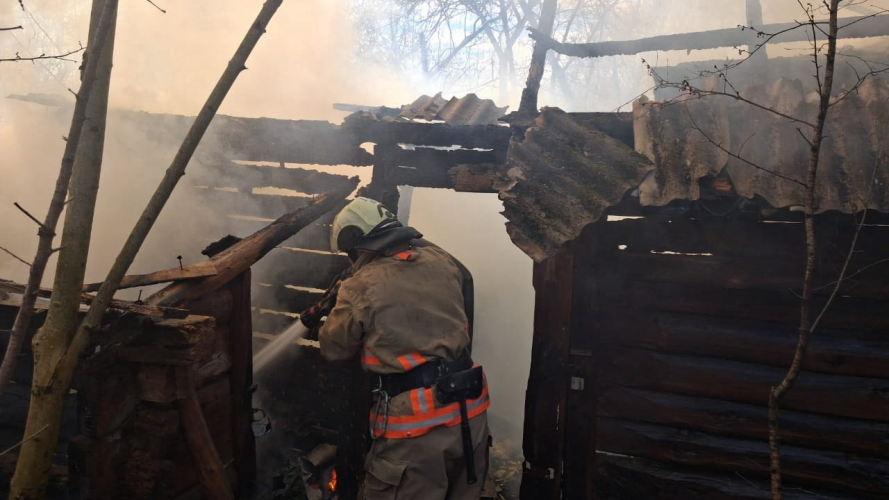 На Волині вигоріло понад 5 гектарів території: рятувальники ліквідували 4 пожежі