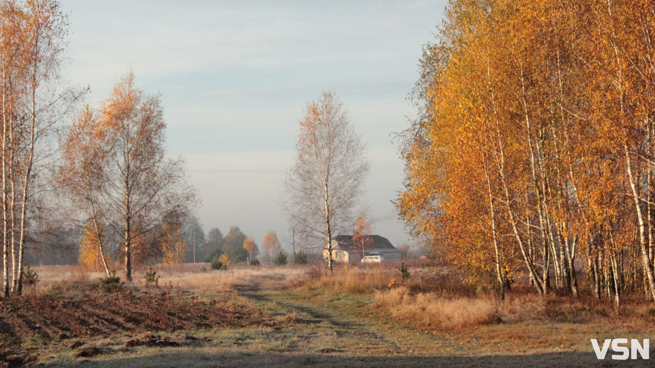 Мінлива хмарність та туман: прогноз погоди на Волині та у Луцьку на робочий тиждень