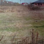 Стадіон чи дерибан: у Луцьку сперечаються через 2 га комунальної землі