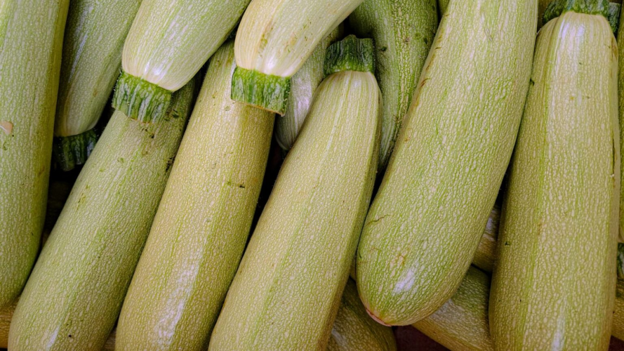 Будете мати мізерний врожай і тих, і інших: біля яких овочів не можна висаджувати кабачки