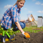 Що і коли сіяти для гарного врожаю: місячний календар на травень 2026
