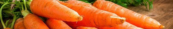 Що не можна садити поруч із морквою: три культури, які зіпсують увесь урожай