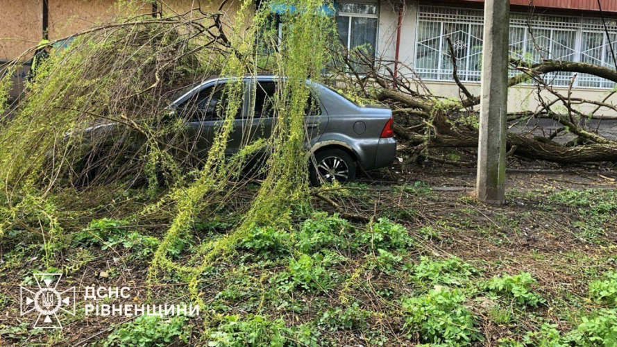 негода у Рівному сьогодні