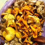 На Волині в грудні знайшли лисички: місцева жителька здивувала грибним уловом