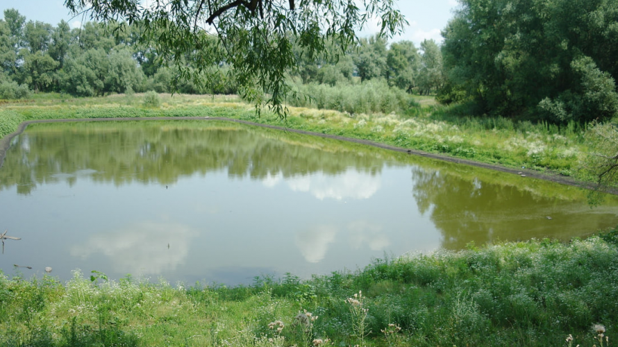 На Волині підприємець без дозволів поглибив ставок і викопав ще три водойми: суд виніс вирок