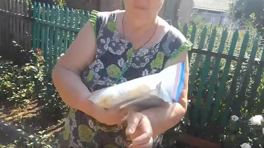 Інсулін на передову - в морозиві і м'ясі: луцька волонтерка поділилась історією