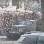 На Волині пенсіонерка купила дрова і потрапила у кримінал: чого так трапилося