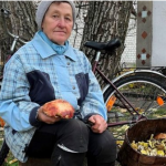 Як волинянка Катерина Шиліна знаходить найкращі гриби — секрети знаної любительки «тихого полювання»