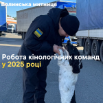 Чотирилапі помічники Волинської митниці встановили рекорд з виявлення контрабанди