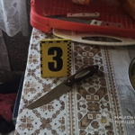 Звернулися по допомогу лише наступного дня: на Волині жінка поранила чоловіка ножем