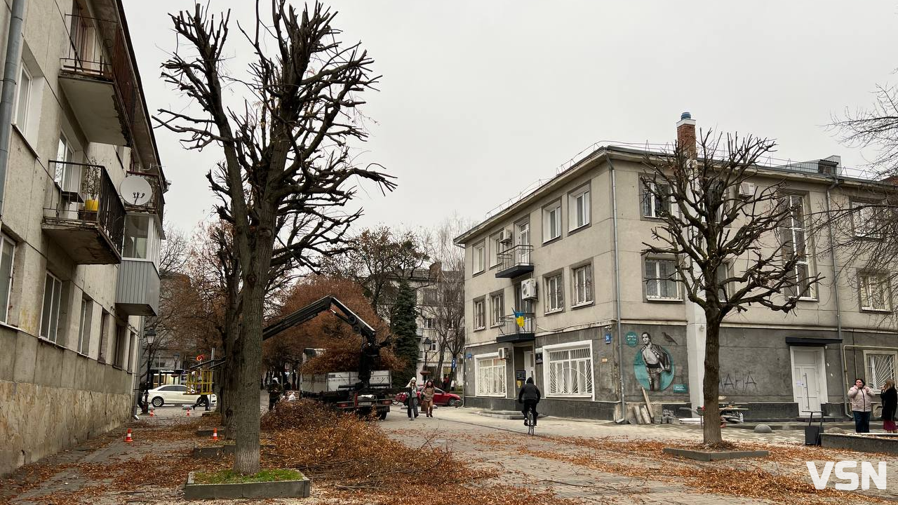 У центрі Луцька стартувала планова обрізка крон дерев