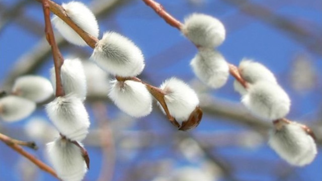 прогноз погоди на 9 березня