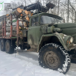 На Волині у заповіднику впіймали чоловіків, які незаконно різали й вивозили деревину