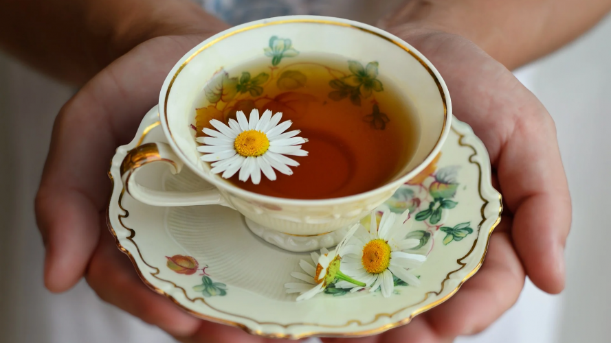 Чи можна щодня пити трав'яний чай