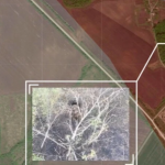 Росіяни зайшли в Куп'янськ