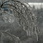 погода у Волинській області