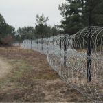 Допомагав втікати до Білорусі: волинський суд виніс вирок організатору схеми