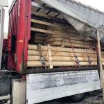 Через «Ягодин» намагались незаконно провезти майже 20 тонн деревини