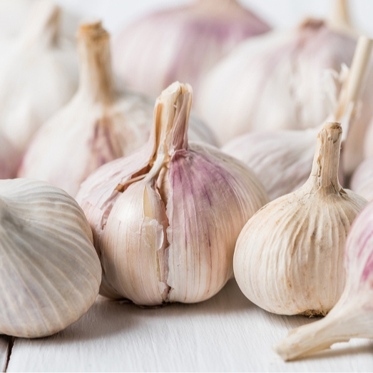 Вирощування озимого часнику