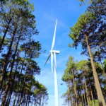 Біля Луцька збудують вітрову електростанцію на 50 МВт