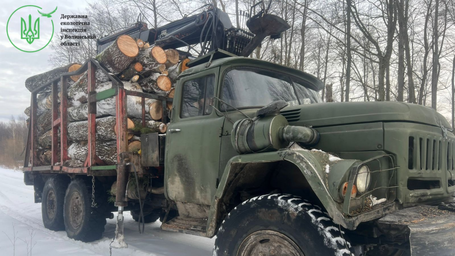 На Волині у заповіднику впіймали чоловіків, які незаконно різали й вивозили деревину