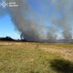 На Волині молодик підпалив траву і втік