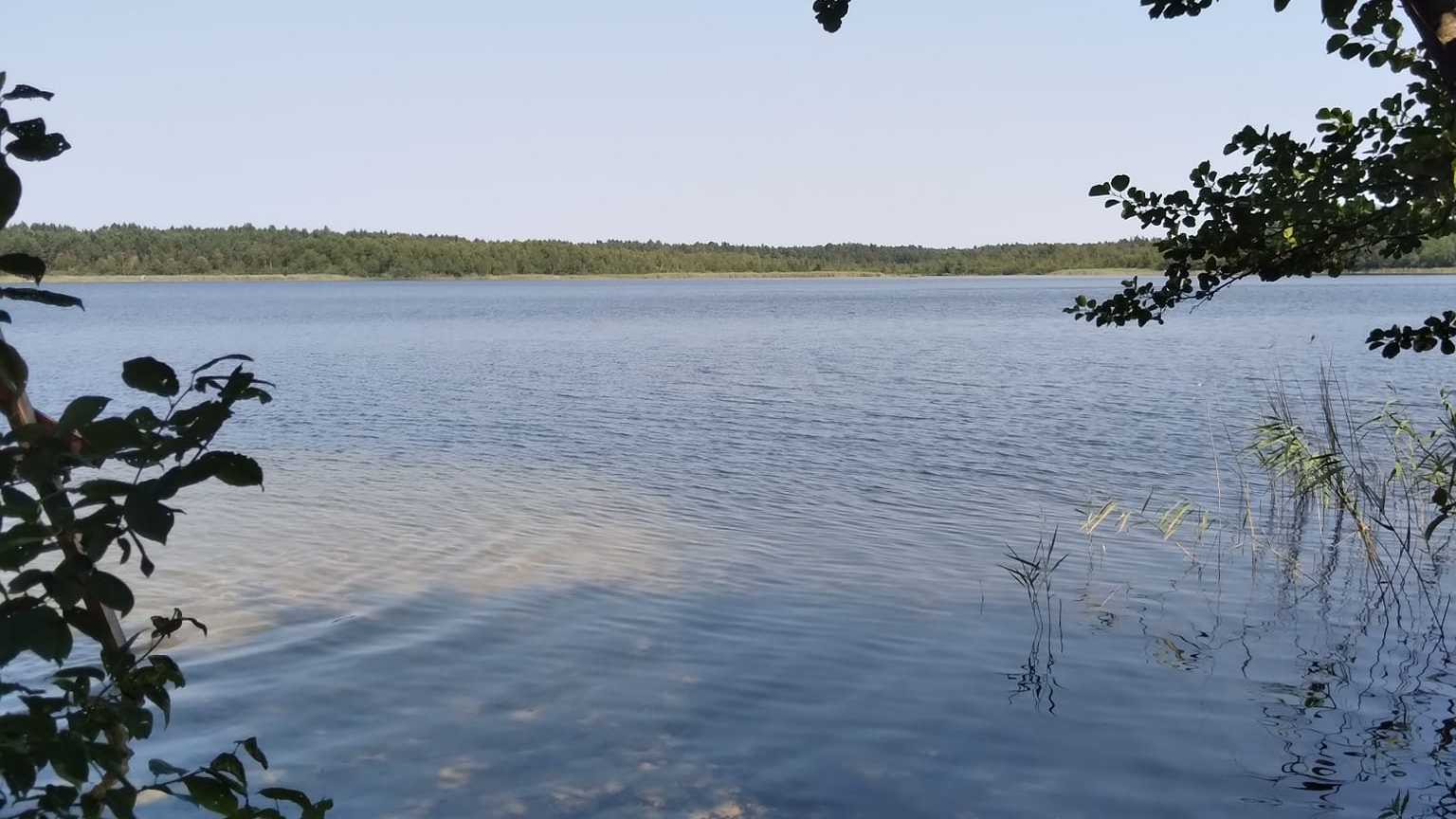 Оточене лісом: показали красу волинського озера
