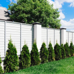 Бур’яни вздовж паркану зникнуть за добу: прості способи без зайвої хімії