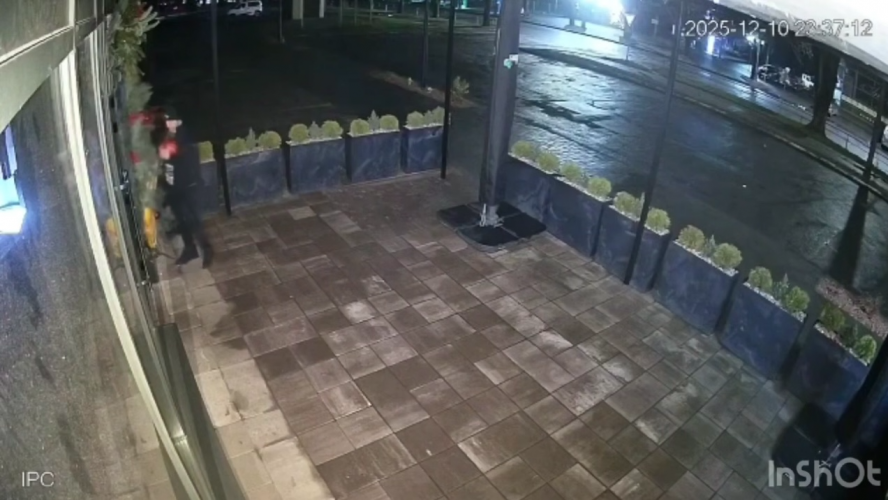 У Луцьку на очах в дружини чоловік поцупив новорічний декор з кафе