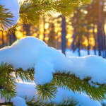 прогноз погоди на 25 листопада